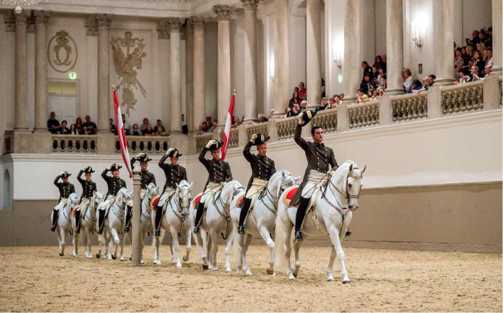 Lipizzaner horse